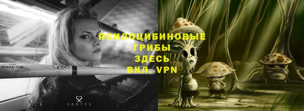 прущая мука Нея