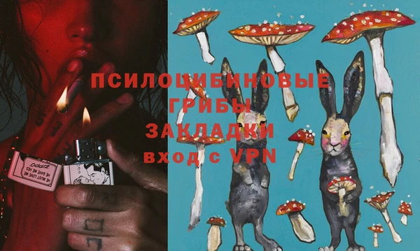 дживик Нефтекумск