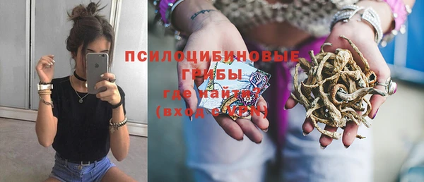 дживик Нефтекумск