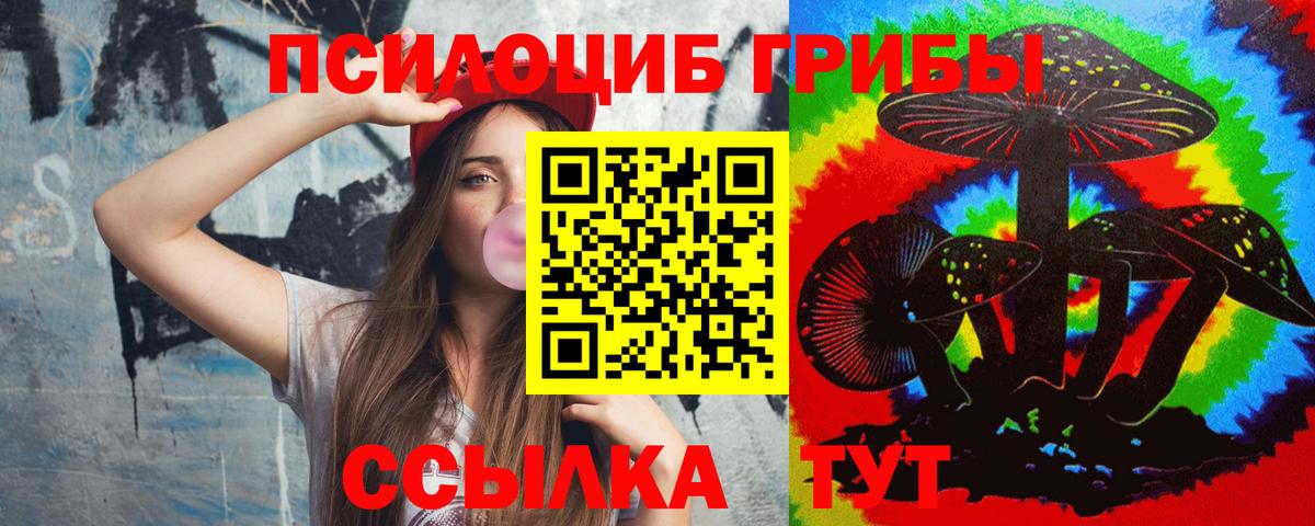 Галлюциногенные грибы Magic Shrooms  Вход с VPN  где купить наркоту  Псилоцибиновые грибы Psilocybine cubensis  Черногорск 