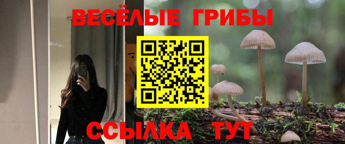 Галлюциногенные грибы ЛСД Черногорск